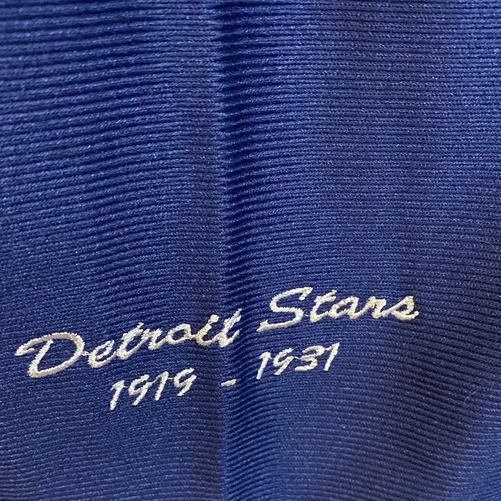 Detroit Stars 1919-1930 #24 Baseball Jersey - Picture 3 of 8